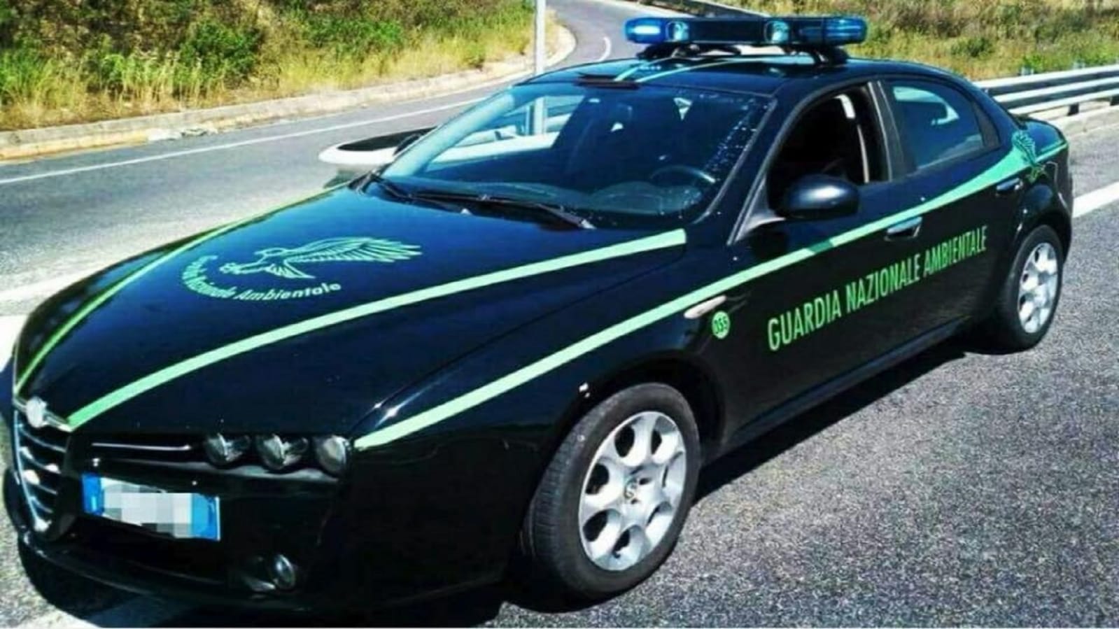 Guardia Nazionale Ambientale in prima linea per la tutela dell'Ambiente 