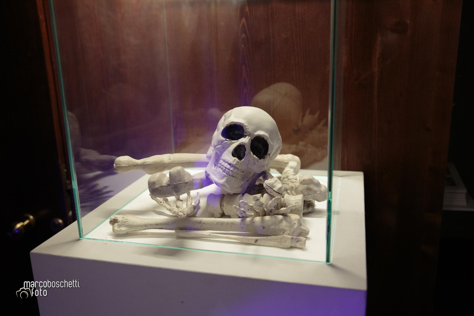 Halloween al museo Fondazione Balestra di Longiano (FC)