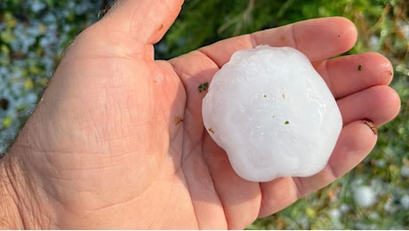 Grandinata devastante nel Piacentino, chicchi grandi come albicocche: gravi danni ai campi
