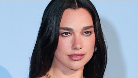 Dua Lipa si schiera con i Fenicotteri, contro il resort di Kushner in Albania
