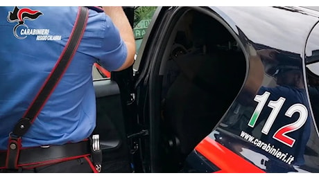 'Ndrangheta a Melicucco, 12 arresti e un assessore ai domiciliari: “Il Comune sotto pressione della cosca”
