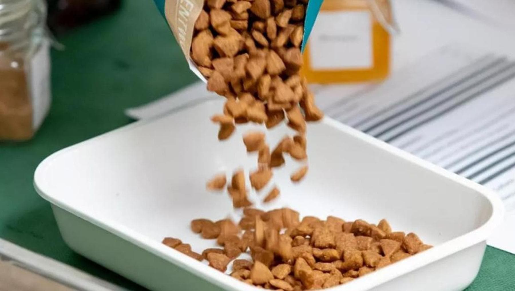Nestlé investe 560 milioni di euro in Italia: a Mantova un nuovo stabilimento Purina e un polo logistico