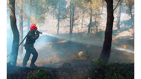 Incendi nel Sud della Francia, migliaia di evacuati e vigili del fuoco in azione tra Aude ed Hérault