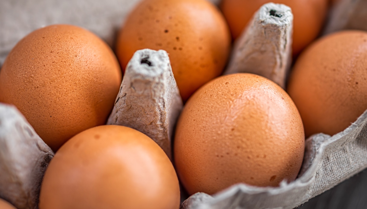Salmonella nelle uova fresche del supermercato, via a un nuovo richiamo