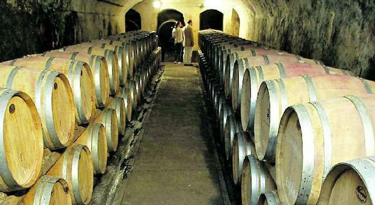 Cantine piene, prezzo a rischio: «Spingere sulla promozione»
