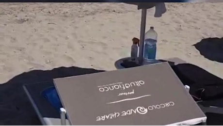 Ritrovati i lettini rubati a Reggio Emilia: sono finiti in spiaggia in Albania
