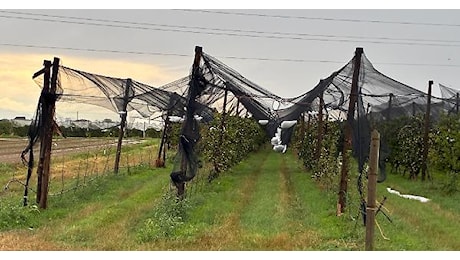 Campi devastati: il nubifragio presenta il conto all'agricoltura