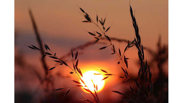 45 gradi a Pirri, 43 a Genneruxi: confermate temperature elevate in tutta la Sardegna sino al 20 luglio - Casteddu On line