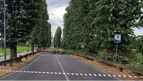 Allerta arancione a Milano, temporali e downburst: chiuse le aree verdi e attivata la vasca del Seveso