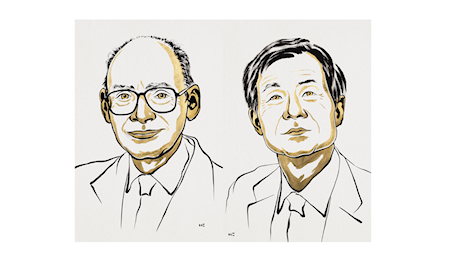 Nobel per la chimica 2026 a Henri Kagan e Kenso Soai per la chiralità molecolare