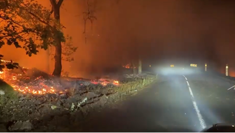 Francia, brucia la foresta di Fontainebleau: in fumo 800 ettari