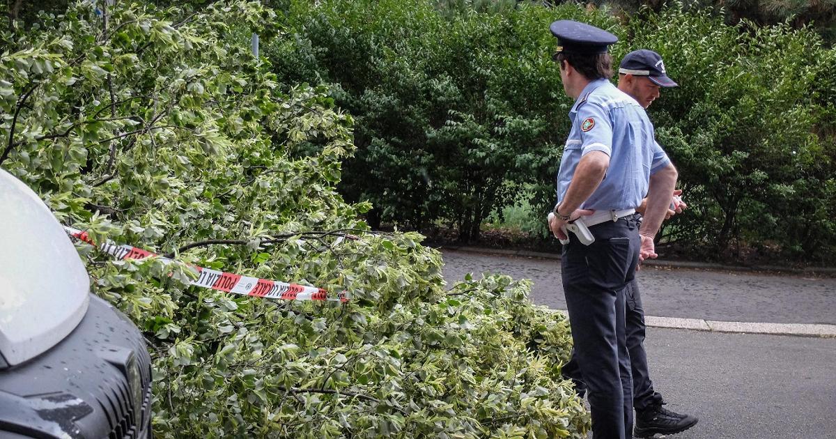 Maltempo: grandine nel Pavese, vento forte a Milano