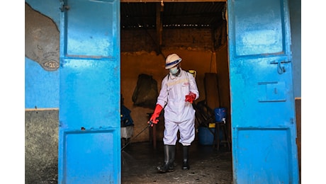 Ebola, ministero della Salute: Caso sospetto in Sardegna