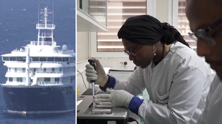 Hantavirus: nel laboratorio senegalese che per primo ha decifrato l'epidemia a bordo della Hondius - la Repubblica