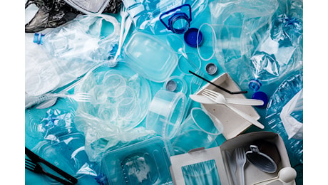 Microplastiche e fertilità, la ricerca accende i riflettori sui rischi