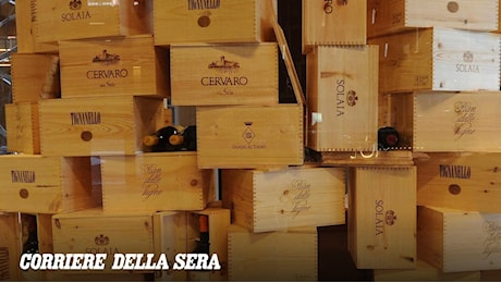 Maxi furto di vino ad Antinori, l'allarme dei produttori:Fortemente preoccupati"
