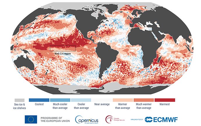 El Niño si intensifica, c'è l'81% di probabilità di un evento di intensità eccezionale: i dati NOAA