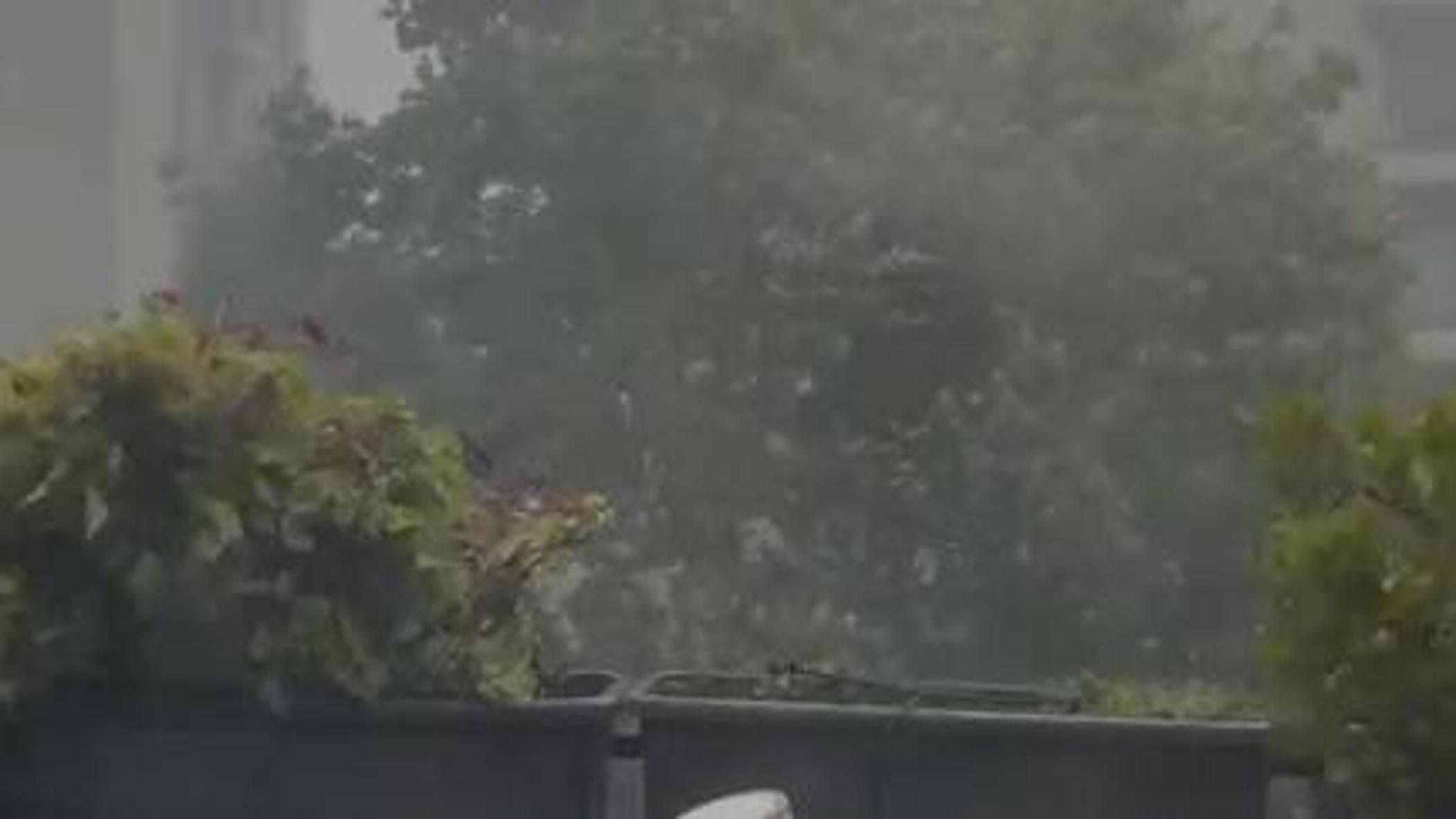 Temporale a Milano, dopo il caldo torrido arrivano pioggia e vento: timore per possibili danni