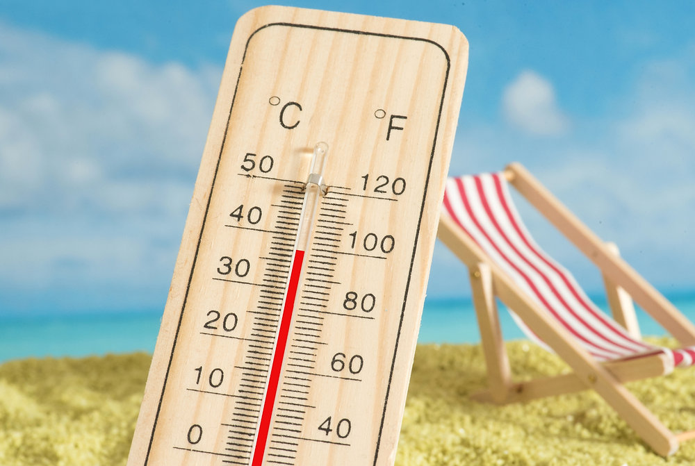 Caldo record in Europa, oltre 7.000 morti tra Germania e Francia. L'OMS lancia l'allarme: Non siamo pronti