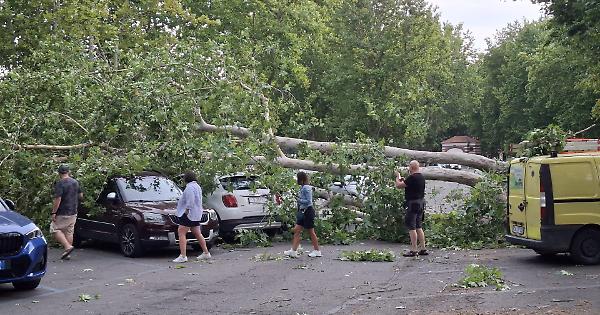 Il temporale attraversa l'Astigiano e fa danni: ad Asti auto sotto le piante sradicate e un uomo colpito da un ramo
