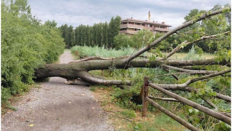 Maltempo in Emilia Romagna, temporali e vento oltre 100 km/h: una vittima
