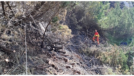 Incendi boschivi in Friuli, scatta lo stato di massima pericolosità