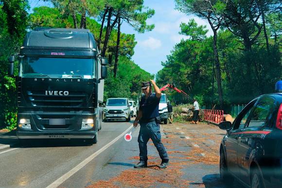 Ravenna, via Romea chiusa per ore a causa di alberi caduti