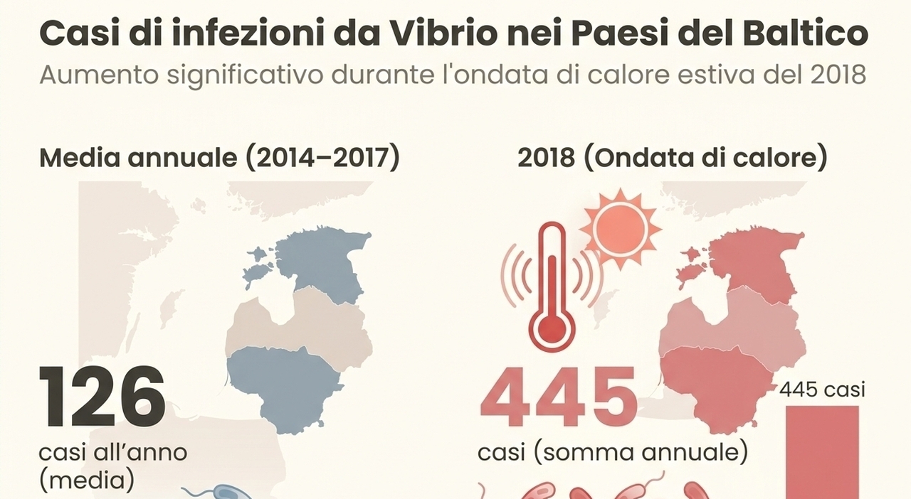 ​Vibrio e mangiacarne, i batteri in Europa con il caldo dell'estate: cosa sono, i sintomi e dove si rischia di più